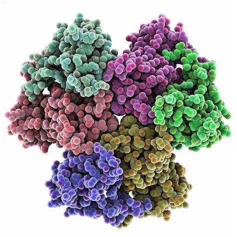 五分鐘帶你簡單了解溶菌酶